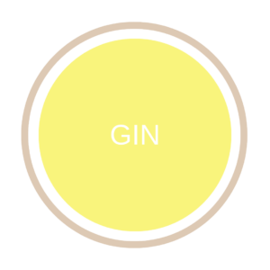 Gin